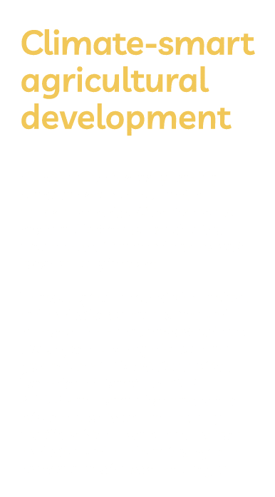 Climate-smart agricultural development Climate change is already harming agriculture and food production in sub-Sahar   