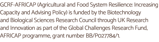 GCRF-AFRICAP (Agricultural and Food System Resilience: Increasing Capacity and Advising Policy) is funded by the Biot   